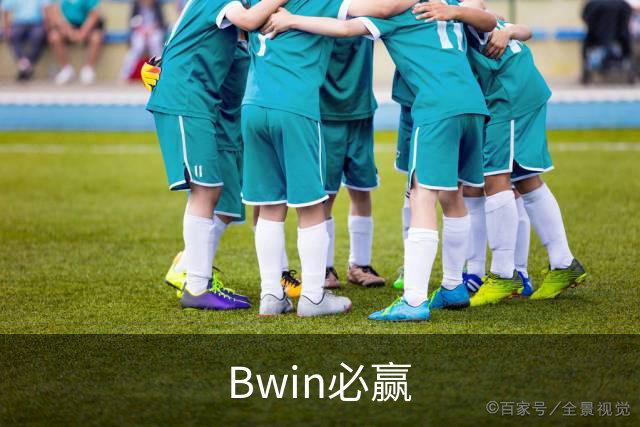 Bwin必赢公司简介图片